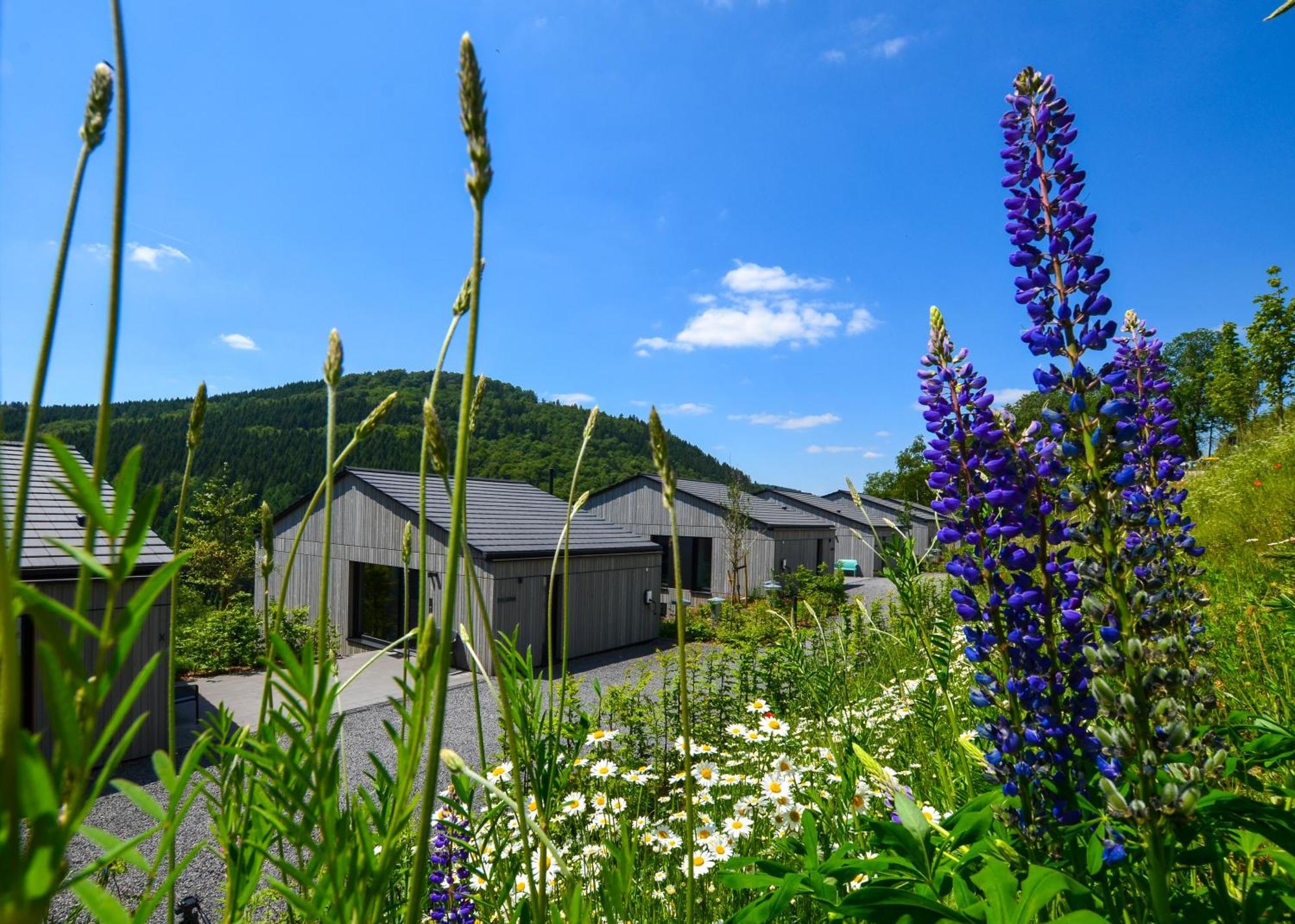 Sauerland Lodge - Haus Juliana Winterberg Exteriör bild